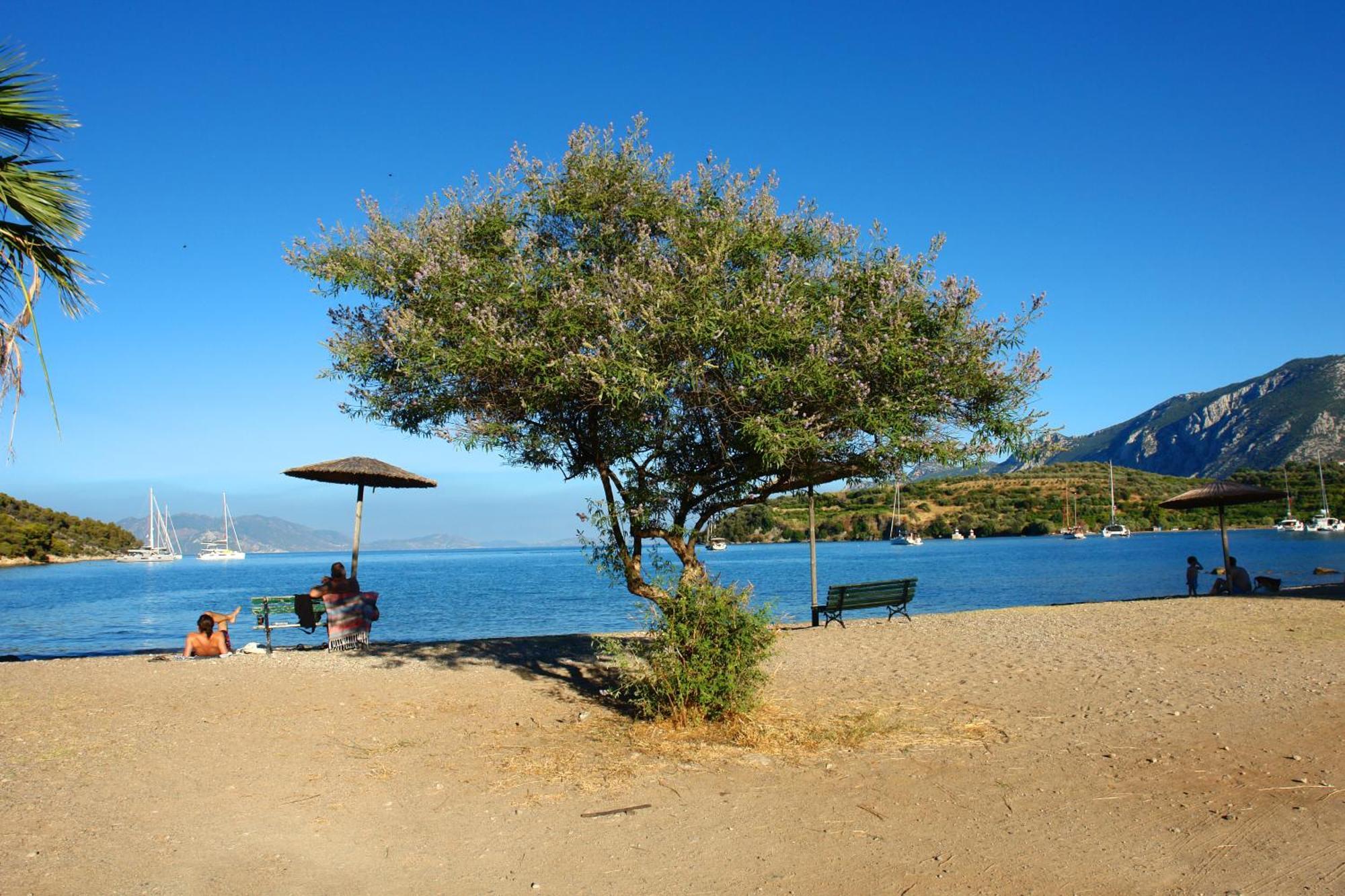 Verdelis Inn Epidaurus Εξωτερικό φωτογραφία